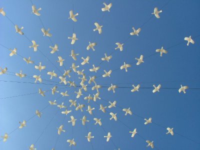 DieVoegel_600.JPG