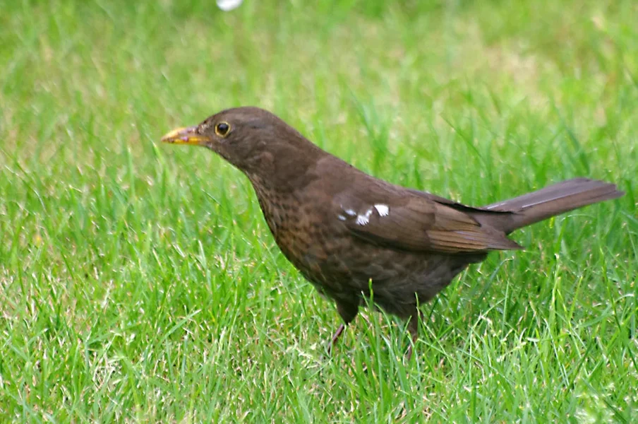 IMGP5258_bearbeitet-1.webp