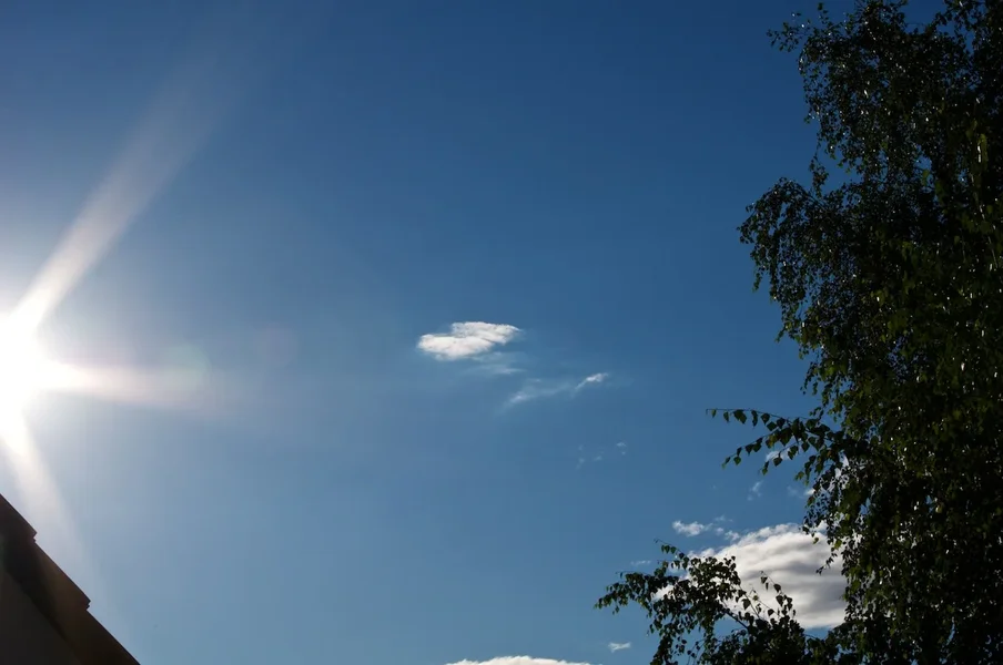 IMGP9532.webp