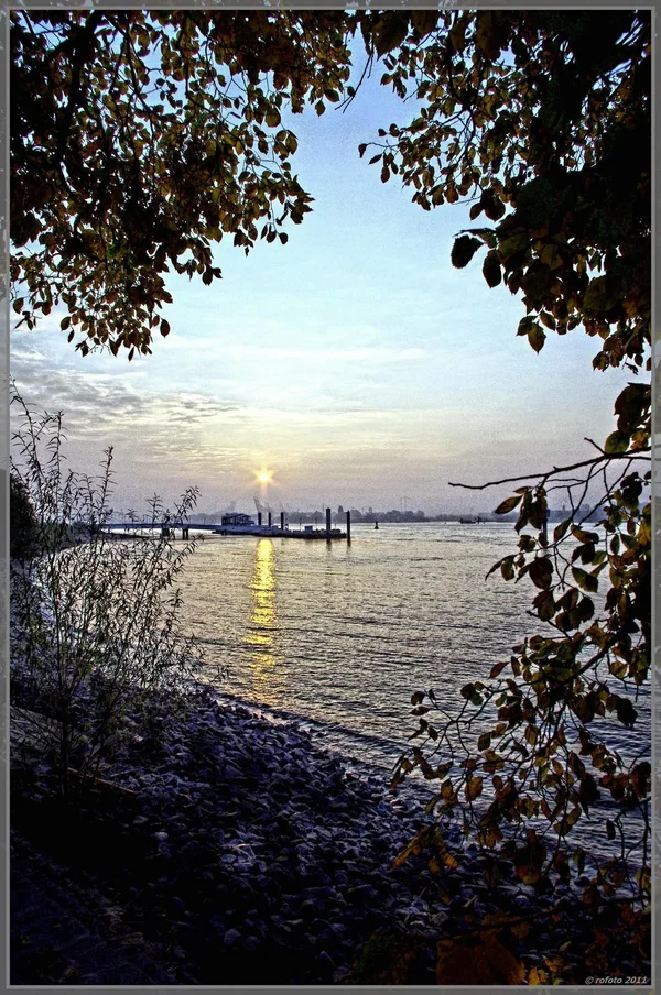 HDR11Däne2.webp