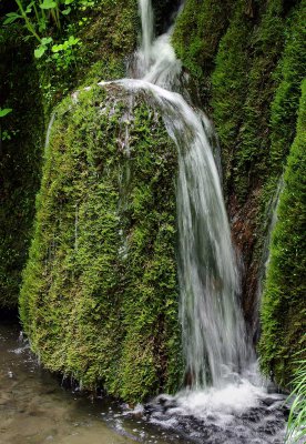 220_IMGP8003.jpg