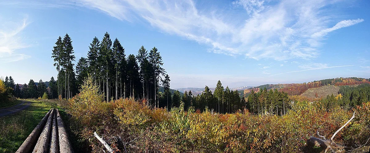 Panorama11.webp