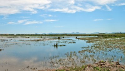 s'albufera.jpg