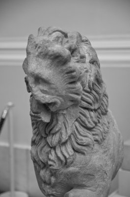 IMGP9898.jpg