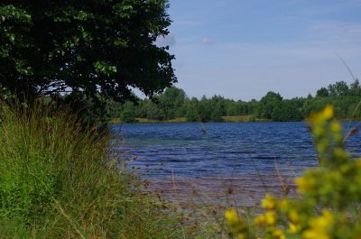 Brücklsee.jpg