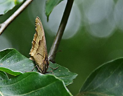 Marcel_Hilfe.jpg Marcel_Hilfe.jpg