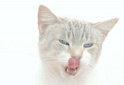 Blanca_2_hk.jpg
