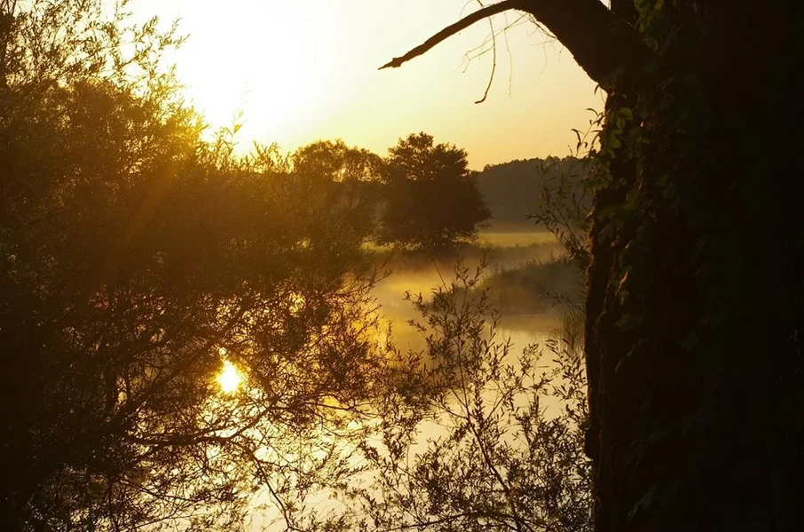 Sonnenaufgang Naab.webp