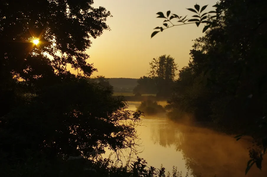 IMGP6645.webp