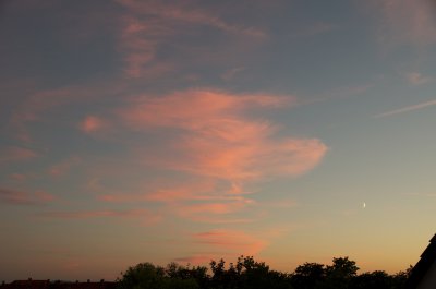 IMGP0305.jpg