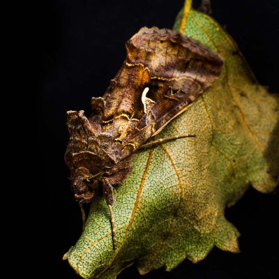 20120729-_IGP3204.jpg