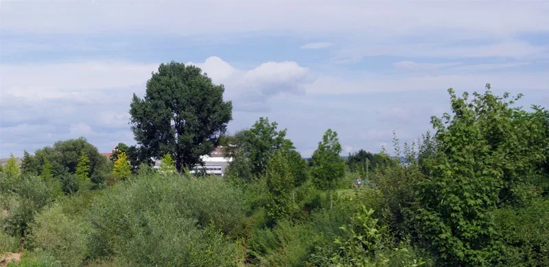 pano1teil3.webp