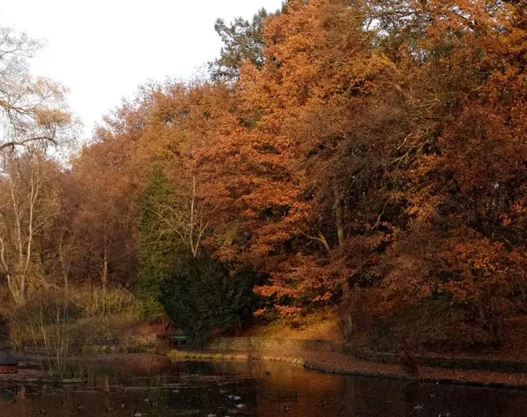 Panorama Hain 2 Teil 2.webp