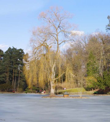 Panorama Hain 3 Teil 2.jpg