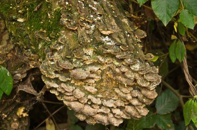 comp_IMGP3045.jpg comp_IMGP3045.jpg