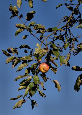 IMGP2327.jpg