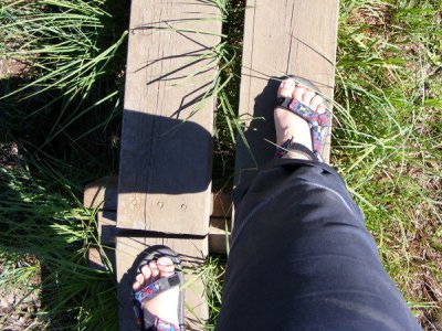 Holzweg.jpg