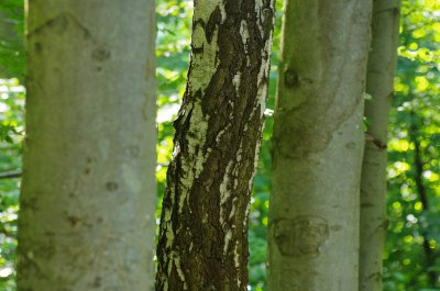 K5127424.JPG