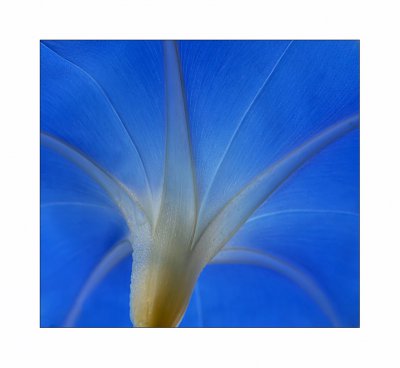 Blau_1.jpg