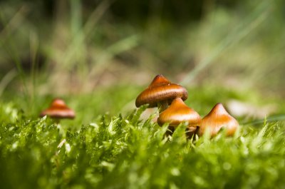 20120810-_IGP4135.jpg 20120810-_IGP4135.jpg