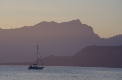 Rosenmeer.jpg