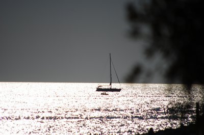 IMGP5164.jpg
