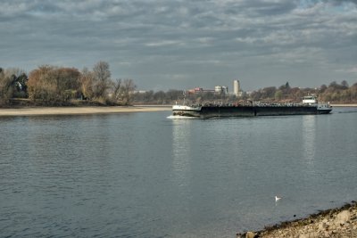 IMGP2350.jpg