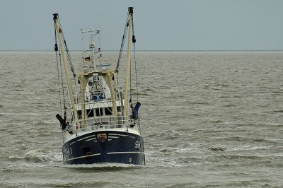 comp_K7_09138_DxO.jpg