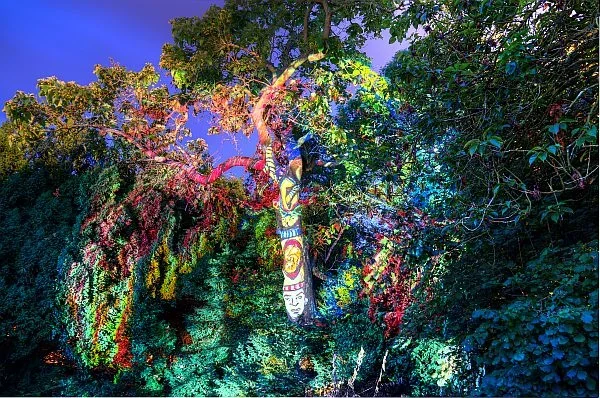 HDR2.webp