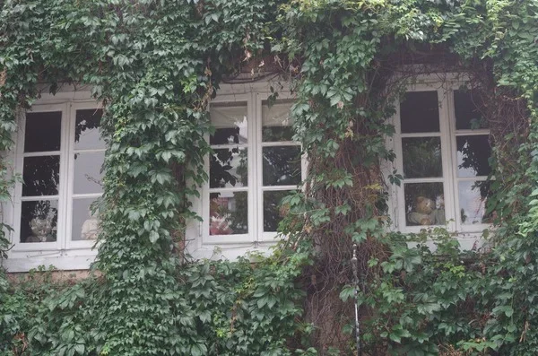 Fenster02_cp.webp
