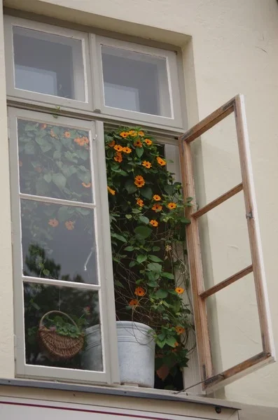 Fenster03_cp.webp