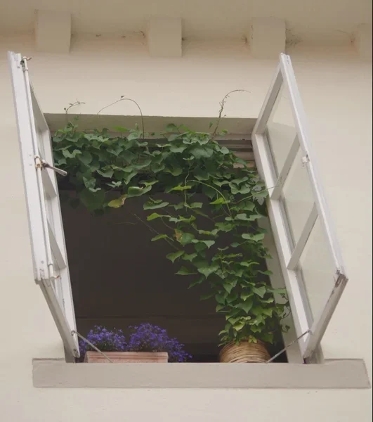 Fenster04-1_cp.webp