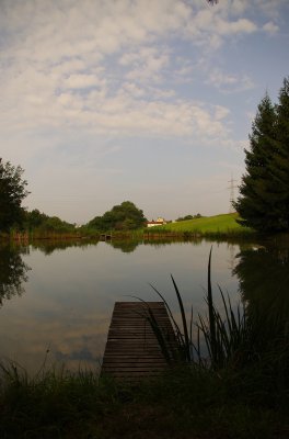 IMGP0032.jpg