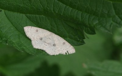 Spanner02_cp.jpg Spanner02_cp.jpg