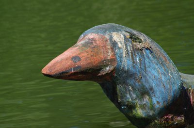 IMGP1129.jpg