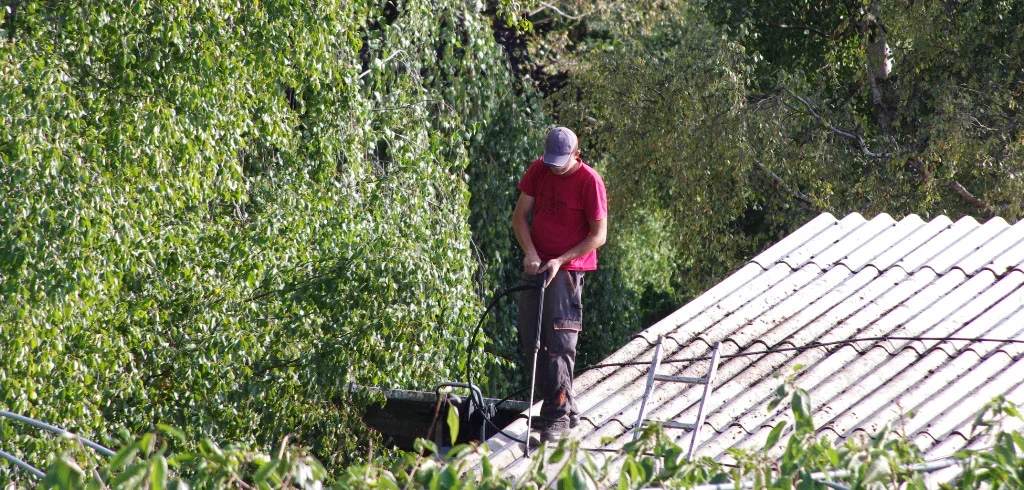 IMGP8214_bearbeitet-1.webp
