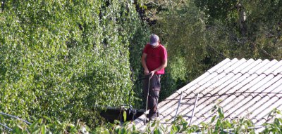 IMGP8214_bearbeitet-1.jpg IMGP8214_bearbeitet-1.jpg