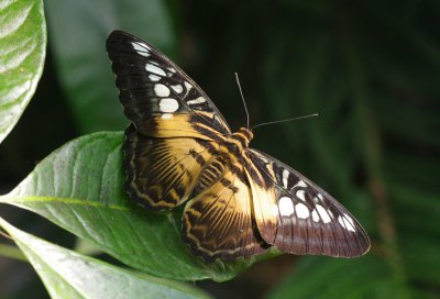 IMGP8542_bearbeitet-1.jpg IMGP8542_bearbeitet-1.jpg