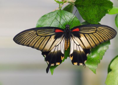 IMGP8585_bearbeitet-2-1.jpg IMGP8585_bearbeitet-2-1.jpg