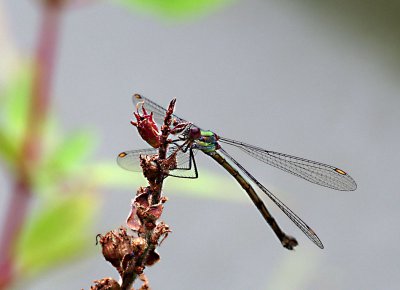 IMGP1218 Kopie 3.jpg