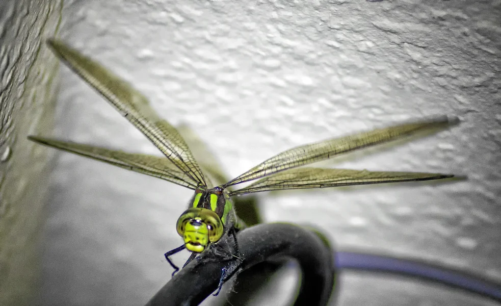 20120909-PICA8466-Bearbeitet-Bearbeitet.webp