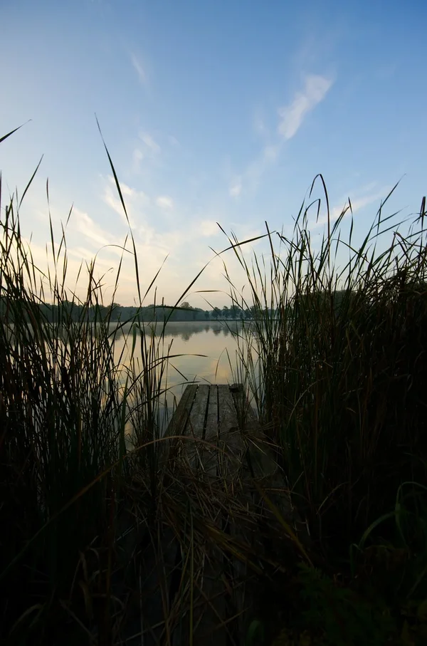 IMGP2297.webp