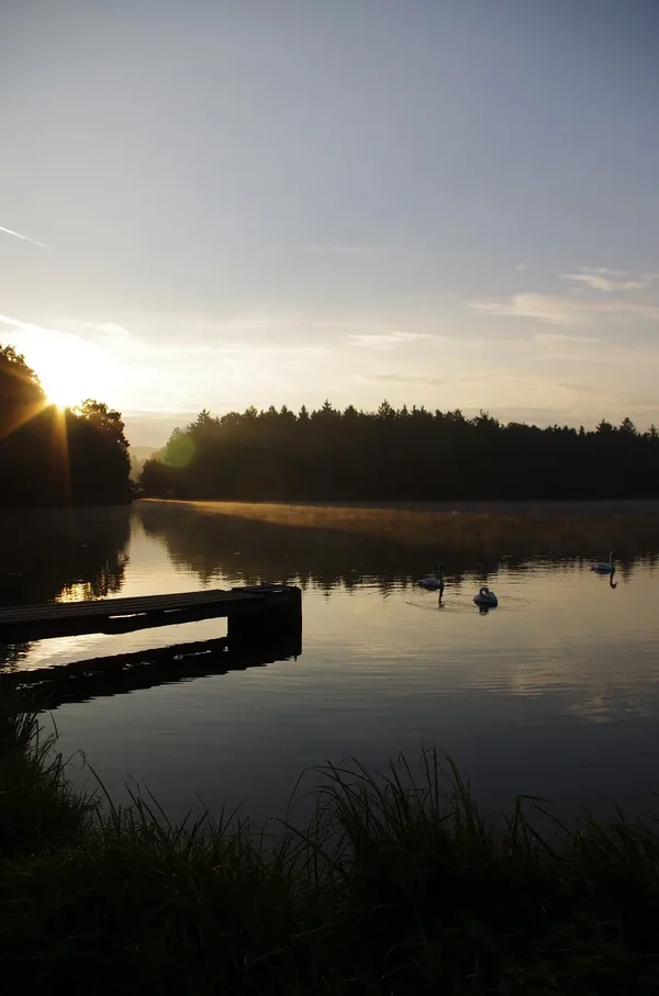 IMGP2336.webp
