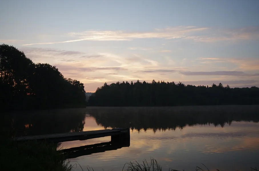 IMGP2217.webp