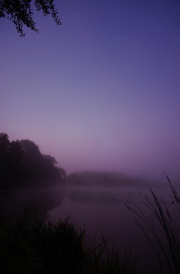 IMGP2570.jpg IMGP2570.jpg