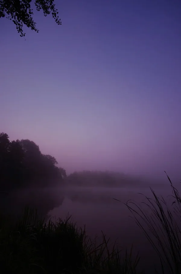 IMGP2570.webp
