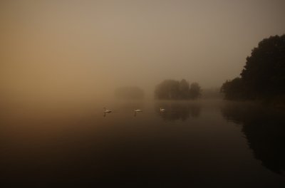 IMGP2657.jpg IMGP2657.jpg