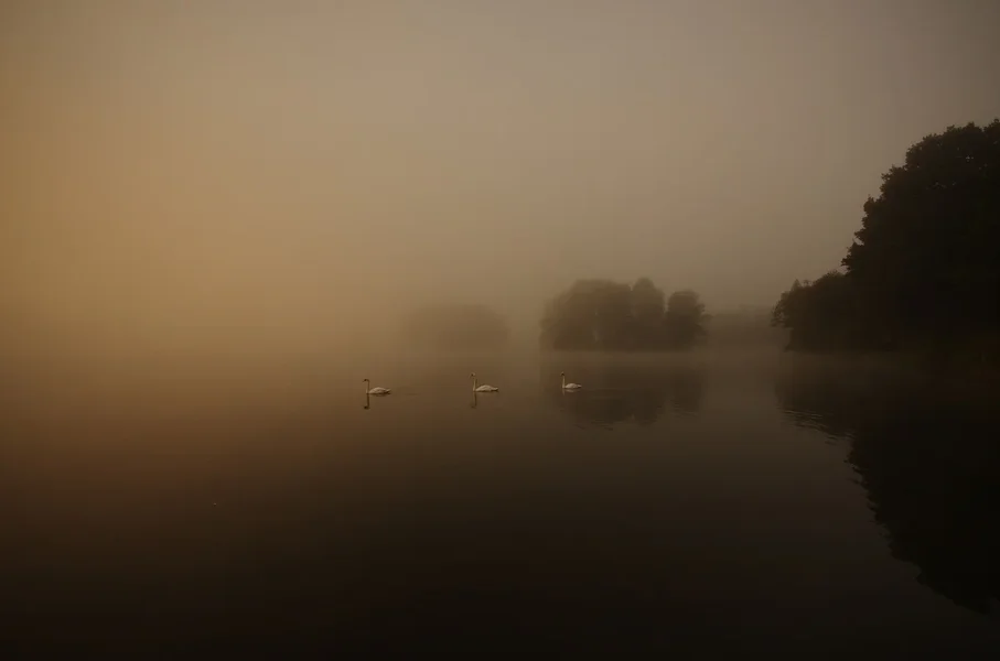 IMGP2657.webp