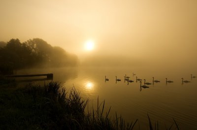 IMGP2707.jpg IMGP2707.jpg