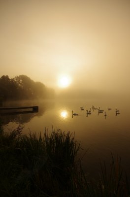 IMGP2709.jpg IMGP2709.jpg